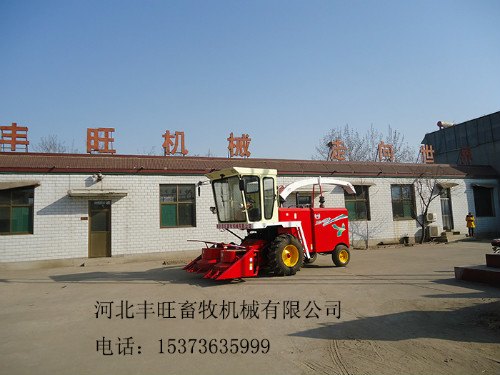 丰旺自走式青饲料收获机厂家报价