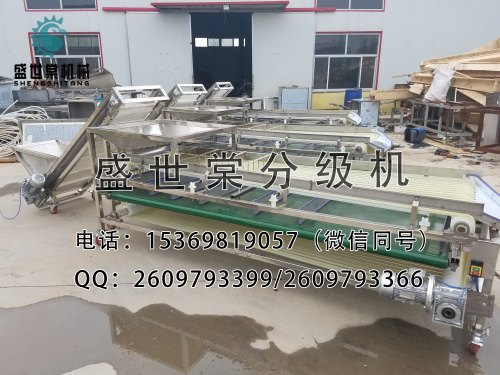 盛世棠番茄分级机