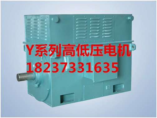 Y4508-10/315KW/6KV 电动机
