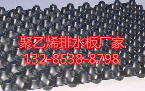 九江6公分排水板价格