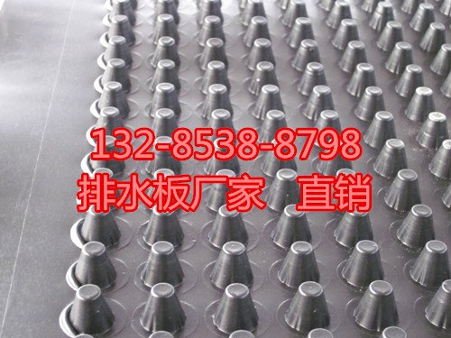 莆田6公分排水板价格