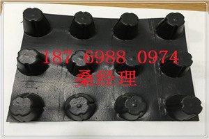 供应2.5公分疏水板【全国】H20排水板生产厂家
