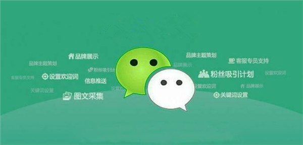 微信建站模板/专业微信建站模板/厦门微信建站费用