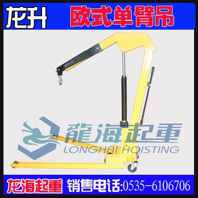 2000kg欧式单臂吊价格,海洋船舶用吊架,可调节高度