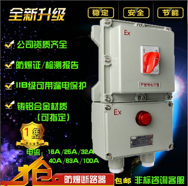 BLK52-40/2PL铸铝材质防爆断路器