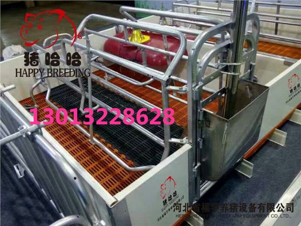 母猪配料杯饲料定量杯定量食喂器母猪定量杯猪场自动送料系统