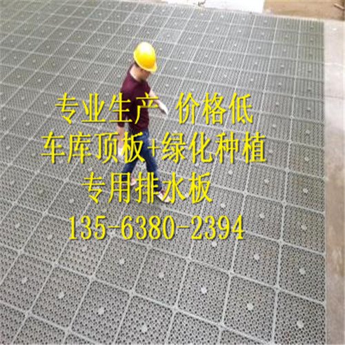 低价位排水板哪有卖的，合肥绿化排水板多少钱