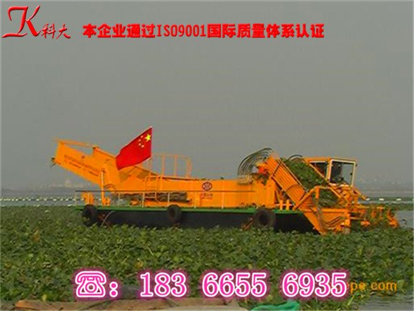 青州大量水葫芦清理机、金牌水草除草船厂家