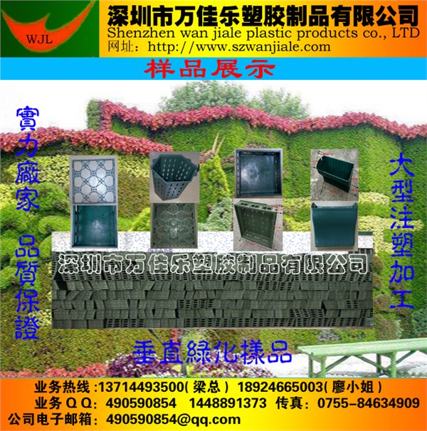 垂直绿化样品