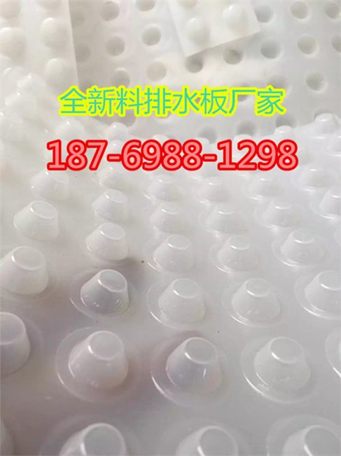 防渗排水板价格