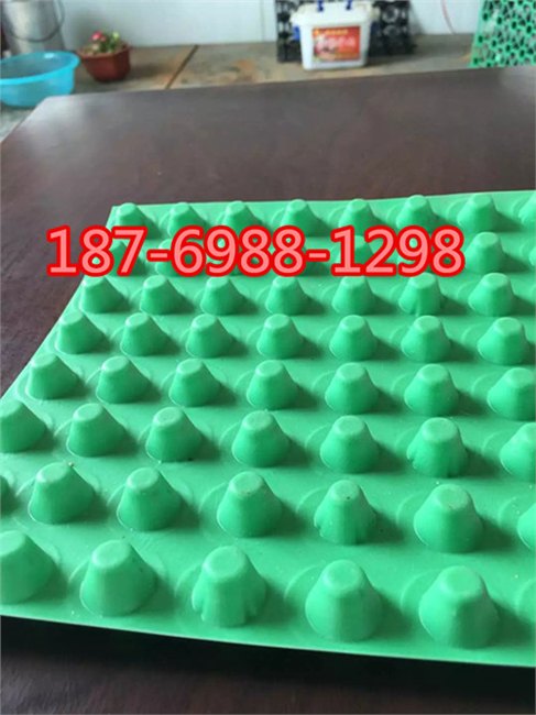 车库顶板蓄排水板价格