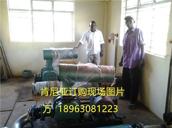 使用年限长达30年的瑞拓风机厂家
