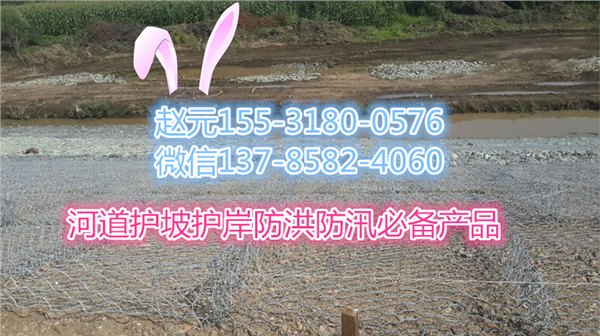 广东五绞石笼网河道护坡护脚石笼网10锌铝合金包塑PVC