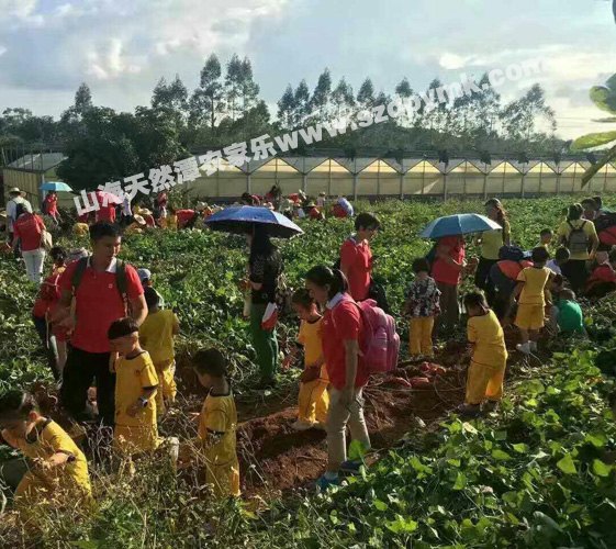 深圳杨梅坑旅游攻略/天然风光旅业