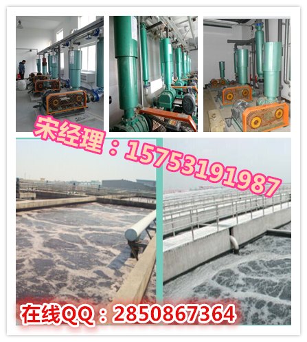 宁夏造纸厂专用30kw污水曝气罗茨风机