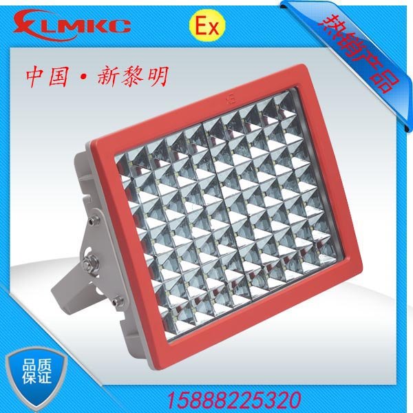 新黎明BZD188-02防爆免维护LED泛光灯 防爆LED灯 100W