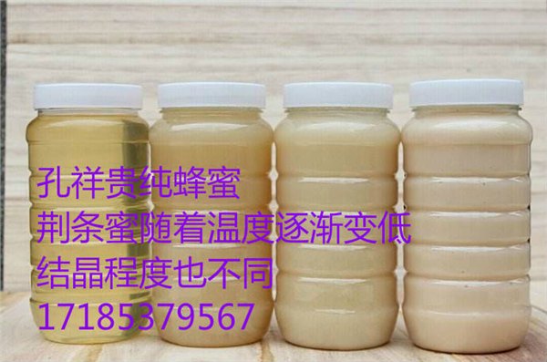 济宁原生态荆条蜜|荆条蜜的食用效果|孔祥贵蜂蜜