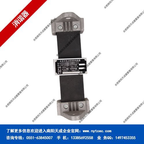 南阳天成rxq-6一次消谐器 功能齐全