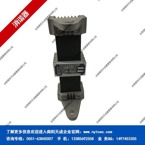 rt-lxq-10长期供应-南阳天成一次消谐器