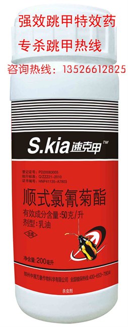 速克甲顽固性跳甲特效药粉蕉抗性跳甲专打黄金配方杀虫快