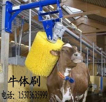 2017款牛体刷丰旺牛体刷价格公道