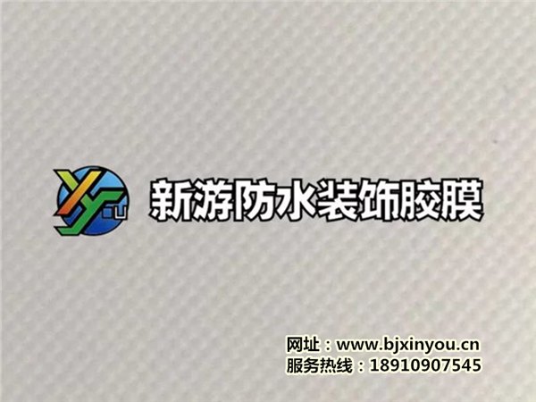 新游厂家直销上海白色泳池夹网布