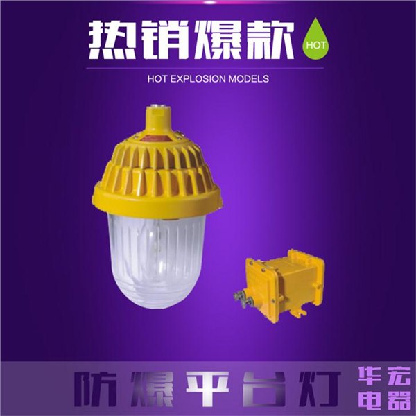 BPC8720护栏式防爆平台灯 中石油专用防爆灯
