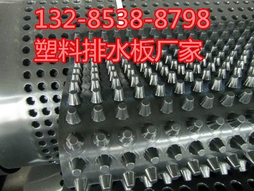 辽宁3公分排水板价格|蓄排水板厂家