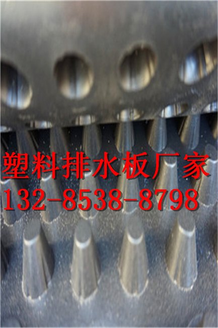 山东3公分排水板价格|蓄排水板厂家