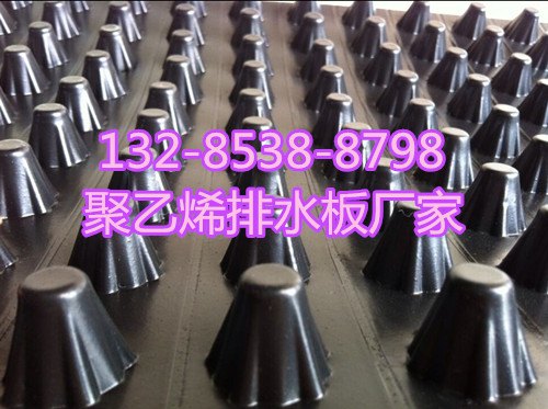 江苏3公分排水板价格|蓄排水板厂家