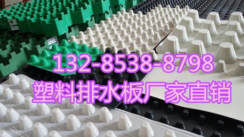 安徽3公分排水板价格|蓄排水板厂家