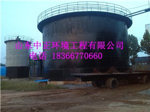 专业品质厌氧发酵罐  沼气发酵罐