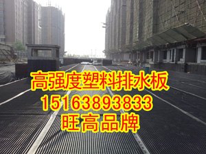 地下室顶板、排水板、价格 3公分车库排水板销售