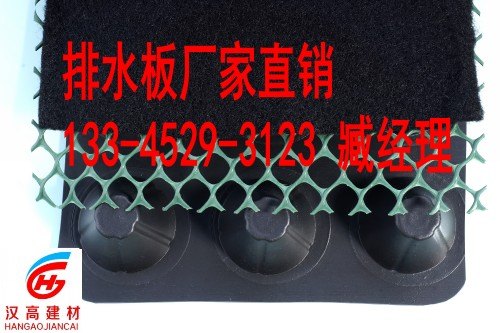 20高塑料排水板