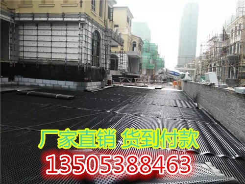 地下室顶板排水板 塑料排水板厂家