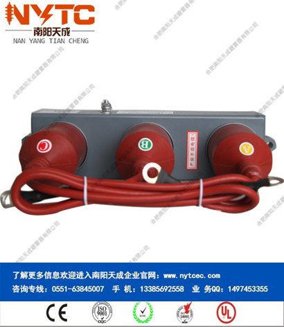 BSTG-L-220服务好-南阳天成过电压保护器