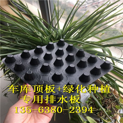 开封1.0卷材排水板厂家√屋顶绿化排水板