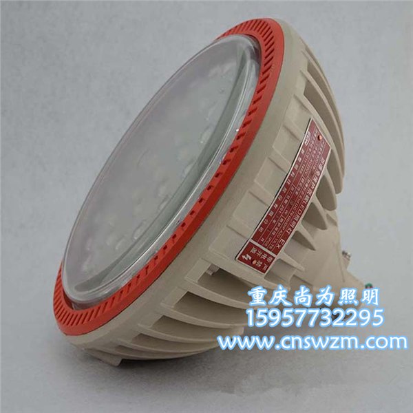 BZD-158-102；BZD-158-102防爆免维护LED照明灯