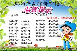 湖北雷沃重工挖掘机4089998M11西康维修包
