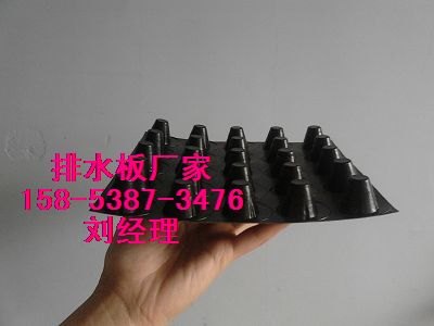 供应佛山》防穿刺排水板#塑料凹凸排水板