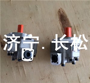 中联重科配件先导泵G5-10-1E13F-20-R-OH厂家直销