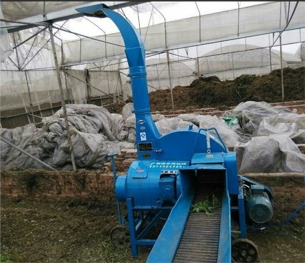 广东省江门中小型青贮玉米秸秆切草机哪里卖