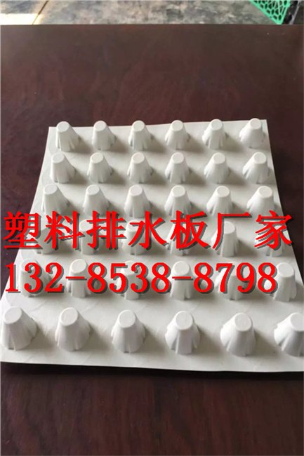 陕西地下车库排水板价格