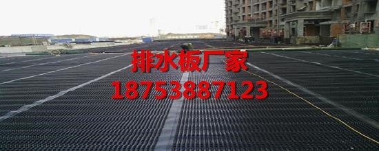 枣庄4公分车库顶板排水板价格