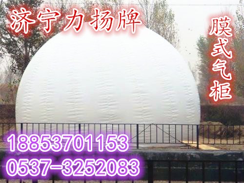山东力扬沼气锅炉燃煤燃气锅炉