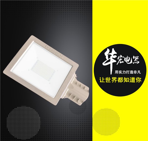 供应专灯防爆灯100W  LED防爆泛光灯  LED防爆路灯 防爆LED照明