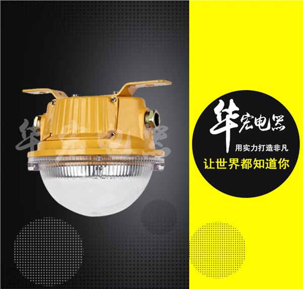 供应吸顶式bfc8183固态免维护防爆灯 led防爆灯 灯具制造商