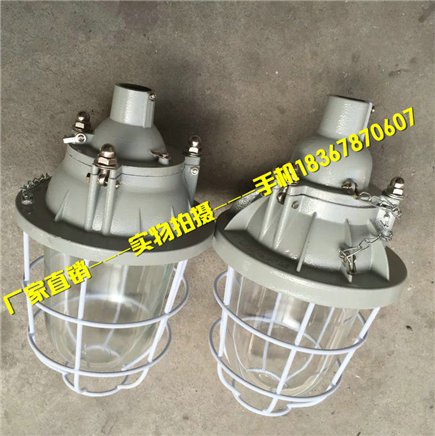 BAD51-L100xZ防爆吸顶金卤灯 防爆灯100W