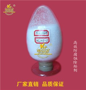 供应循环水管道清洗除垢剂