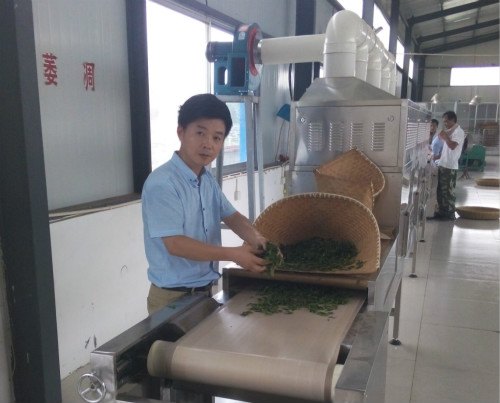 山东科弘微波茶叶杀青机生产线专业生产供应厂家